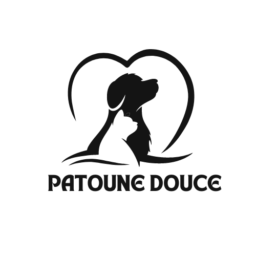 Logo officiel de l'association