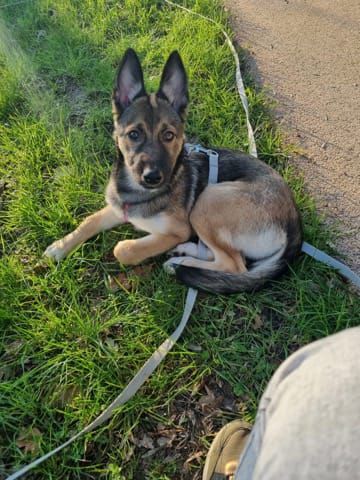 WhatsApp Image 2025-12-23 at 12.46.58.jpeg